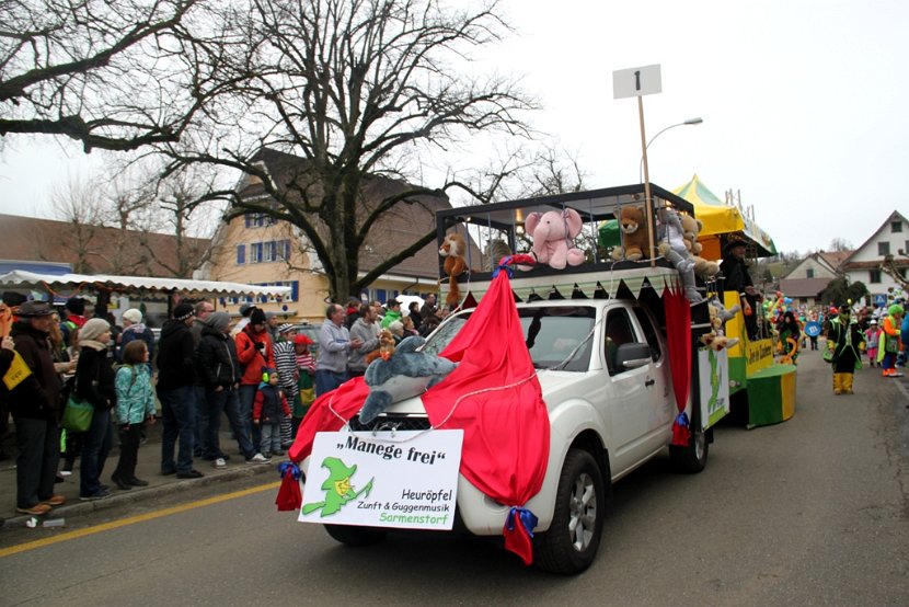Sarmenstorf Fasnachtsumzug 16.02.2014 (4)